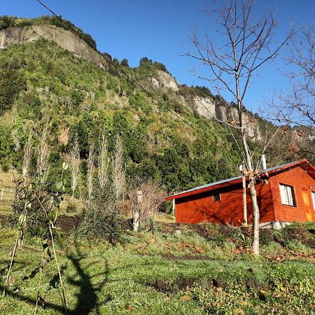 Don Patricio Coñaripe Exterior foto