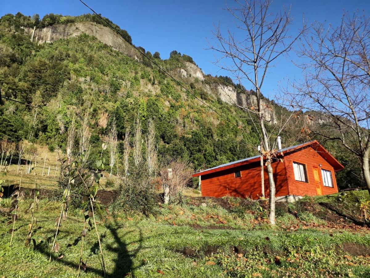 Don Patricio Coñaripe Exterior foto